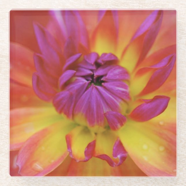 Posavasos De Vidrio Flor magenta y amarilla (Anverso)