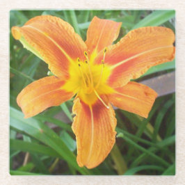 Posavasos De Vidrio Flor naranja