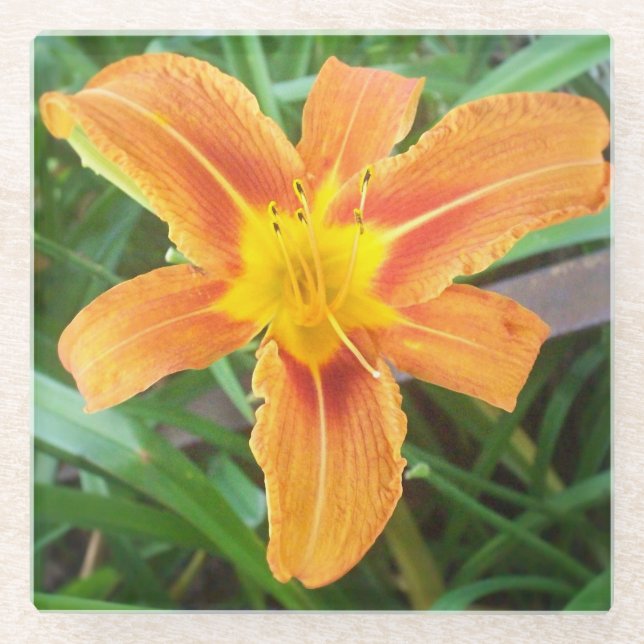 Posavasos De Vidrio Flor naranja (Anverso)