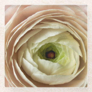 Posavasos De Vidrio Flor Ranunculus