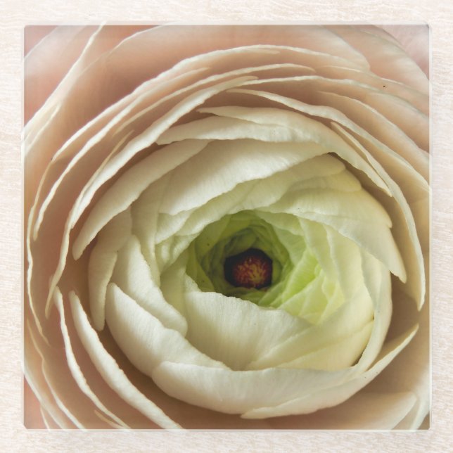Posavasos De Vidrio Flor Ranunculus (Anverso)