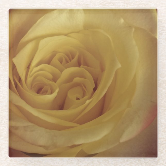 Posavasos De Vidrio Flor rosa amarillo claro floral foto hermosa flor (Anverso)