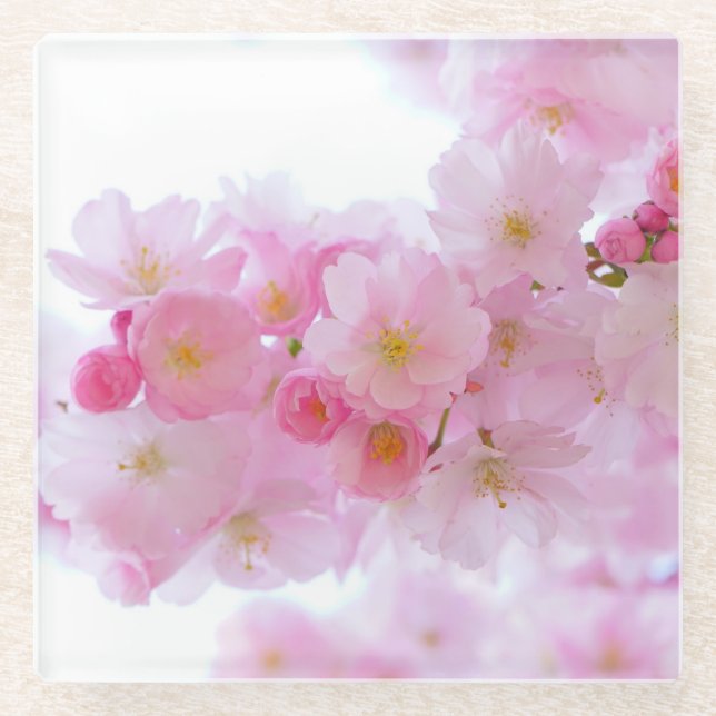 Posavasos De Vidrio Flor rosa - escayola (Anverso)