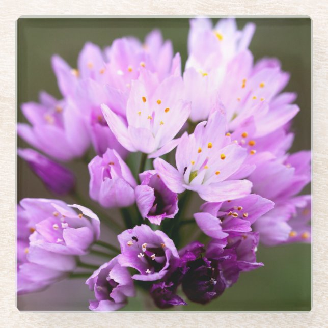 Posavasos De Vidrio Flor salvaje (Anverso)