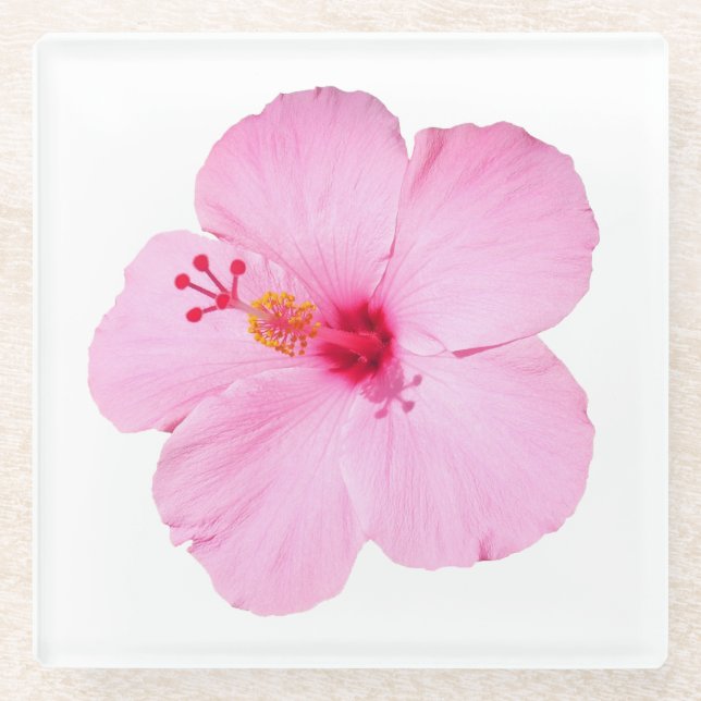 Posavasos De Vidrio Flor tropical Hibiscus rosa (Anverso)