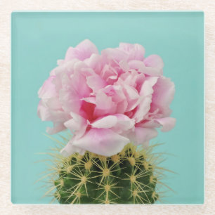 Posavasos De Vidrio Floración rosada encima del cactus de punta