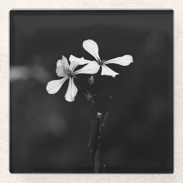 Posavasos De Vidrio floral blanca y negra mínima (Anverso)