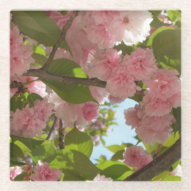 Posavasos De Vidrio Floral de primavera del árbol de cerezo III con do (Anverso)