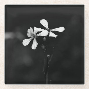 Posavasos De Vidrio floral en blanco y negro minimalista
