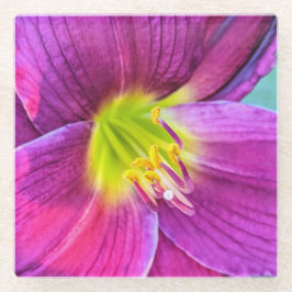Posavasos De Vidrio Floral Pink Daylily Bloom