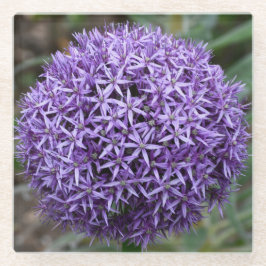 Posavasos De Vidrio Floral Purple Allium Bloom