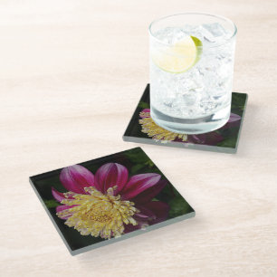 Posavasos De Vidrio Floral rosa Anemone Dahlia Bloom