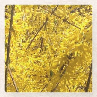 Posavasos De Vidrio Florecimiento del muelle de Forsythia