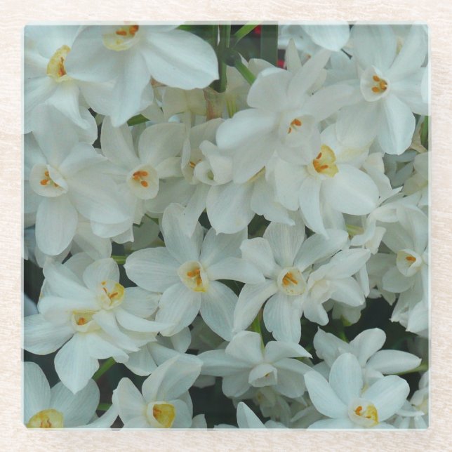 Posavasos De Vidrio Flores blancas de arcissus paperblancas (Anverso)