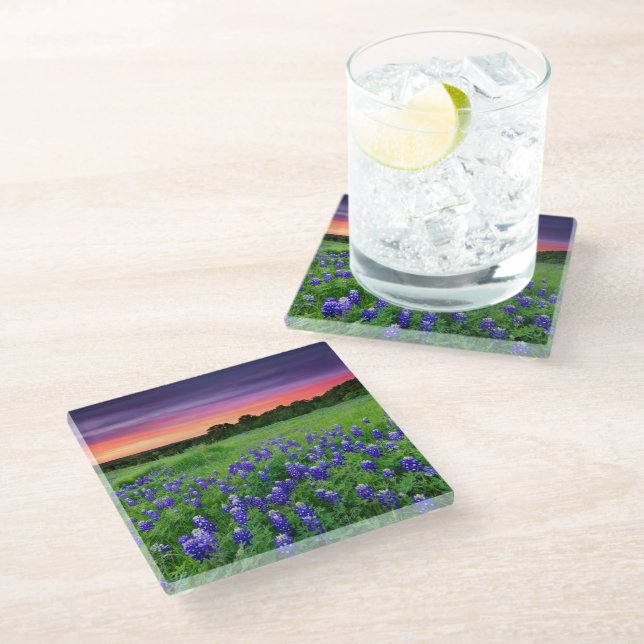 Posavasos De Vidrio Flores | Bluebonnets en Sunset Texas (Angular)