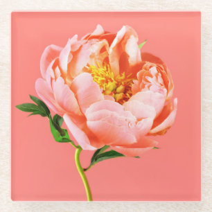 Posavasos De Vidrio Flores   Coral Peony Blossom
