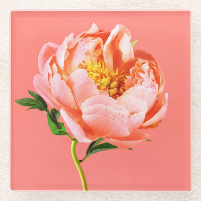 Posavasos De Vidrio Flores | Coral Peony Blossom (Anverso)