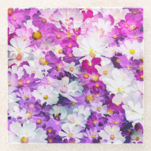 Posavasos De Vidrio Flores cosmales: fondo morado rosa floral