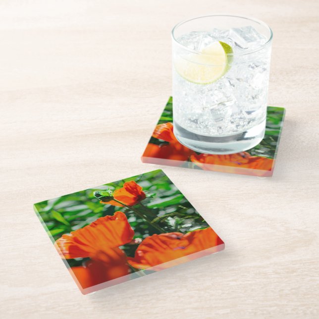 Posavasos De Vidrio Flores de adormidera de Naranja rojo estilizado (Angular)