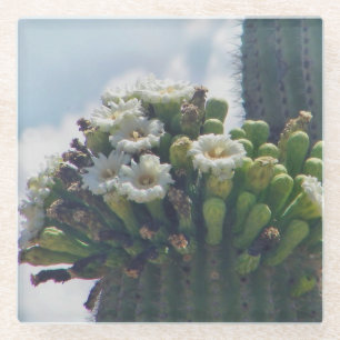 Posavasos De Vidrio flores de cactus saguaro