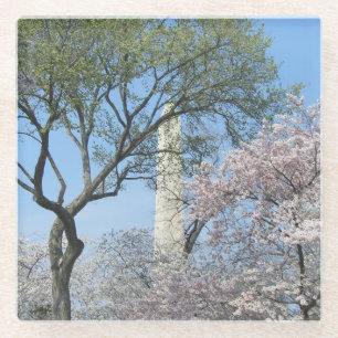 Posavasos De Vidrio Flores de cerezo y el monumento de Washington en D