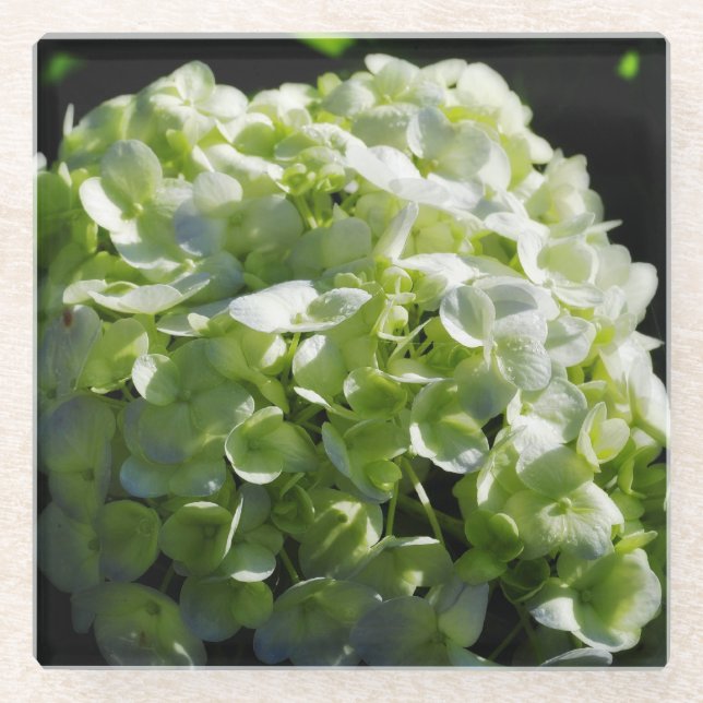 Posavasos De Vidrio Flores de Hydrangeas Verdes (Anverso)