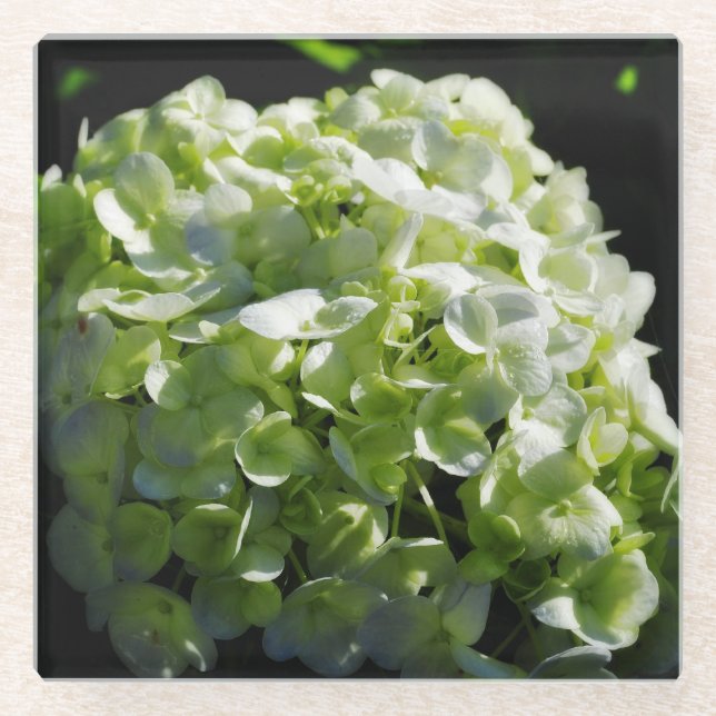 Posavasos De Vidrio Flores de Hydrangeas Verdes (Anverso)