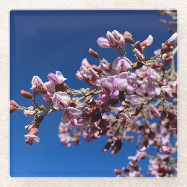 Posavasos De Vidrio Flores de madera de hierro florecen en morado (Anverso)