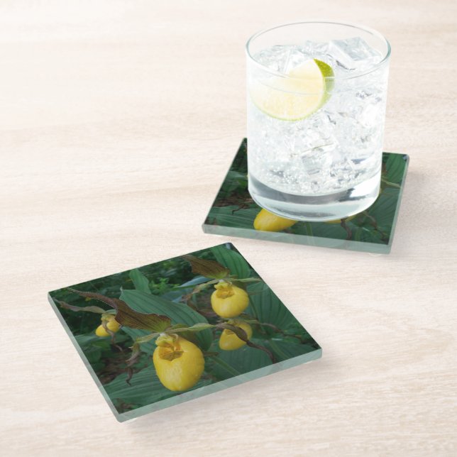 Posavasos De Vidrio Flores de orquídeas de grupo de damas amarillas (Angular)