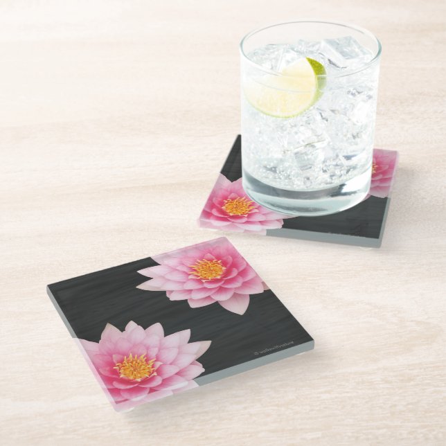 Posavasos De Vidrio Flores elegantes flotantes de Lotus rosa (Angular)