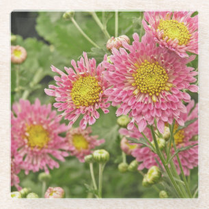 POSAVASOS DE VIDRIO FLORES FRÍOS DE COLOR ROSA/CENTROS DE ORO/ COSTERA
