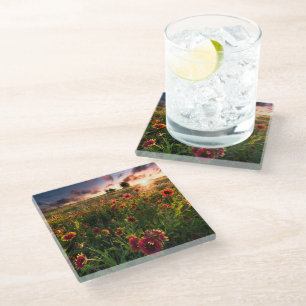 Posavasos De Vidrio Flores Indio Blanket Wildflower Texas