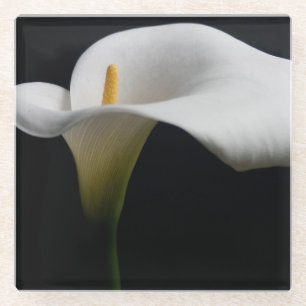 Posavasos De Vidrio Flores Lirio de Calla Blanca