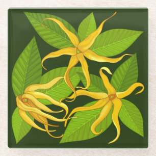 Posavasos De Vidrio Flores perfumadas exóticas de Ylang Ylang