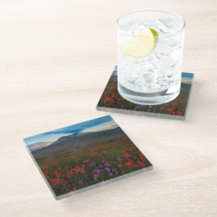 Posavasos De Vidrio Flores Pincel indio y penstemon