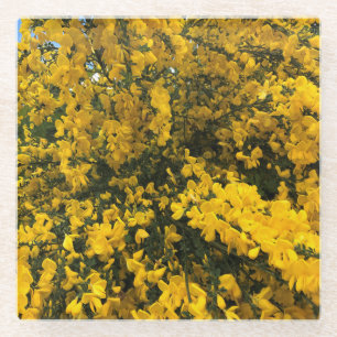 Posavasos De Vidrio Flores silvestres en el sendero, Oregón