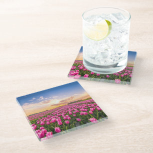Posavasos De Vidrio Flores   Tulips, Holanda del Sur, Países Bajos