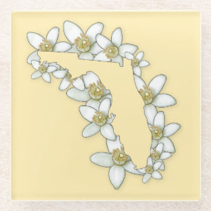 Posavasos De Vidrio Florida State Flower Coaster