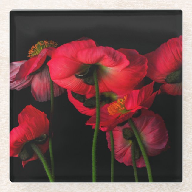 Posavasos De Vidrio Flowers | Red Poppies (Anverso)