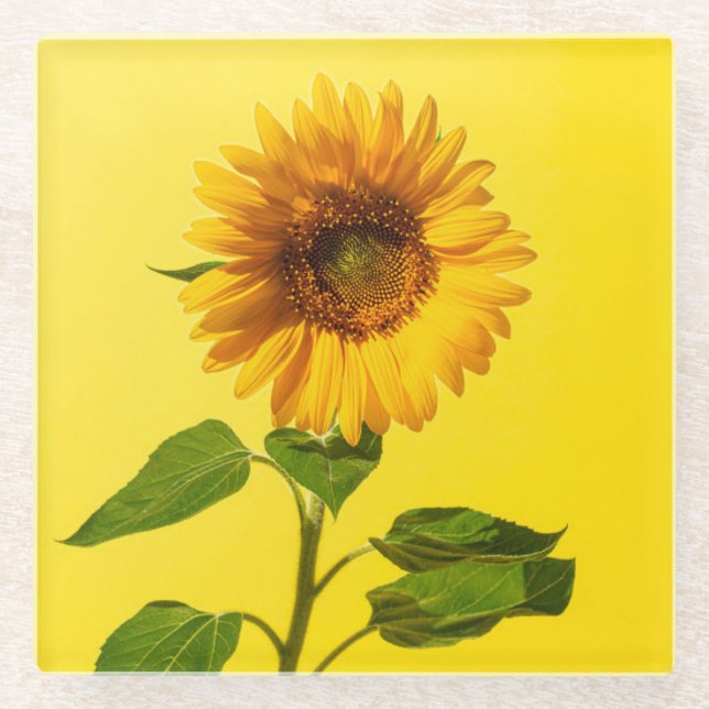 Posavasos De Vidrio Flowers | Sunflower on Yellow (Anverso)