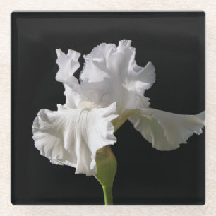 Posavasos De Vidrio Flowers   White Iris