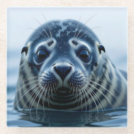 Posavasos De Vidrio Foca linda de cerca