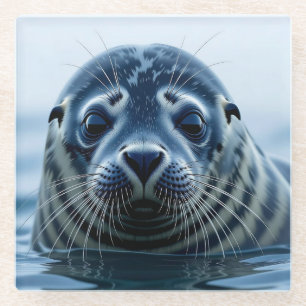 Posavasos De Vidrio Foca linda de cerca