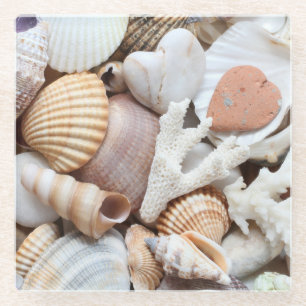 Posavasos De Vidrio Fondo de coral de conchas marinas con piedras