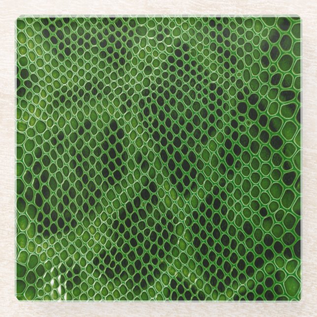 Posavasos De Vidrio Fondo de la piel de serpiente exótica (Anverso)