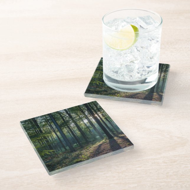 Posavasos De Vidrio Forests | Black Forest Germany (Angular)