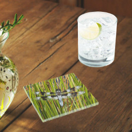 Posavasos De Vidrio Foto común del Skimmer Dragonfly