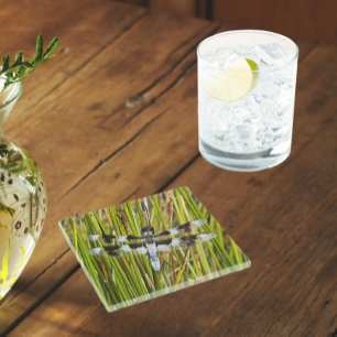 Posavasos De Vidrio Foto común del Skimmer Dragonfly