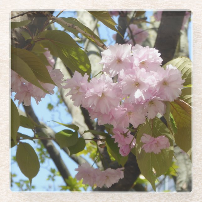Posavasos De Vidrio Foto de cerezo en flor (Anverso)