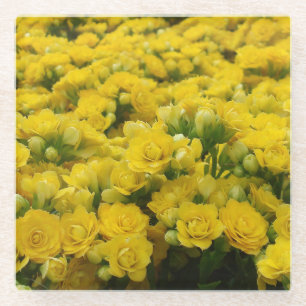Posavasos De Vidrio Foto de Flor Amarilla Delicada Floral Vibrante
